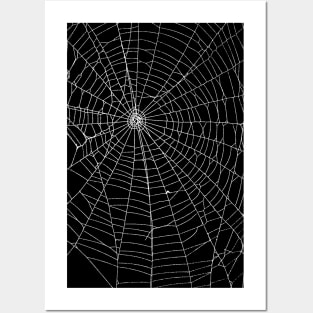 Spider Spider Web Posters and Art